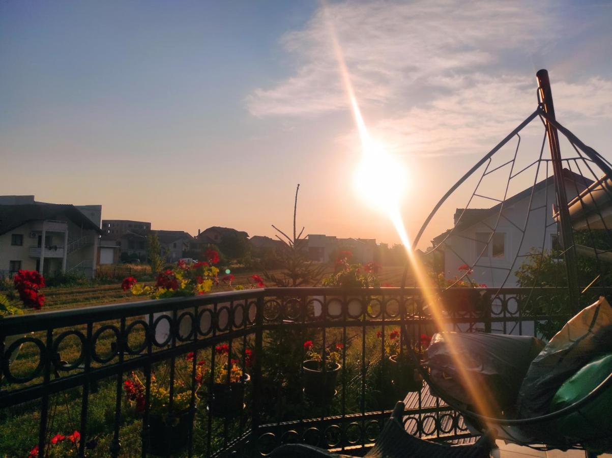 Ivana Belgrad Dış mekan fotoğraf